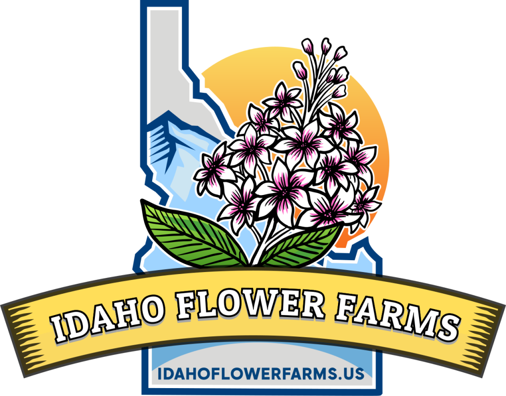 Idaho Cut Flower Farms